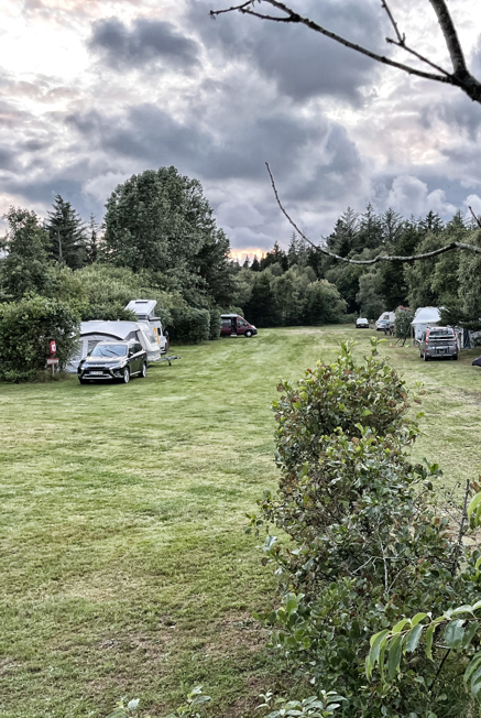 Tipperne Camping - Stemning 1.jpg